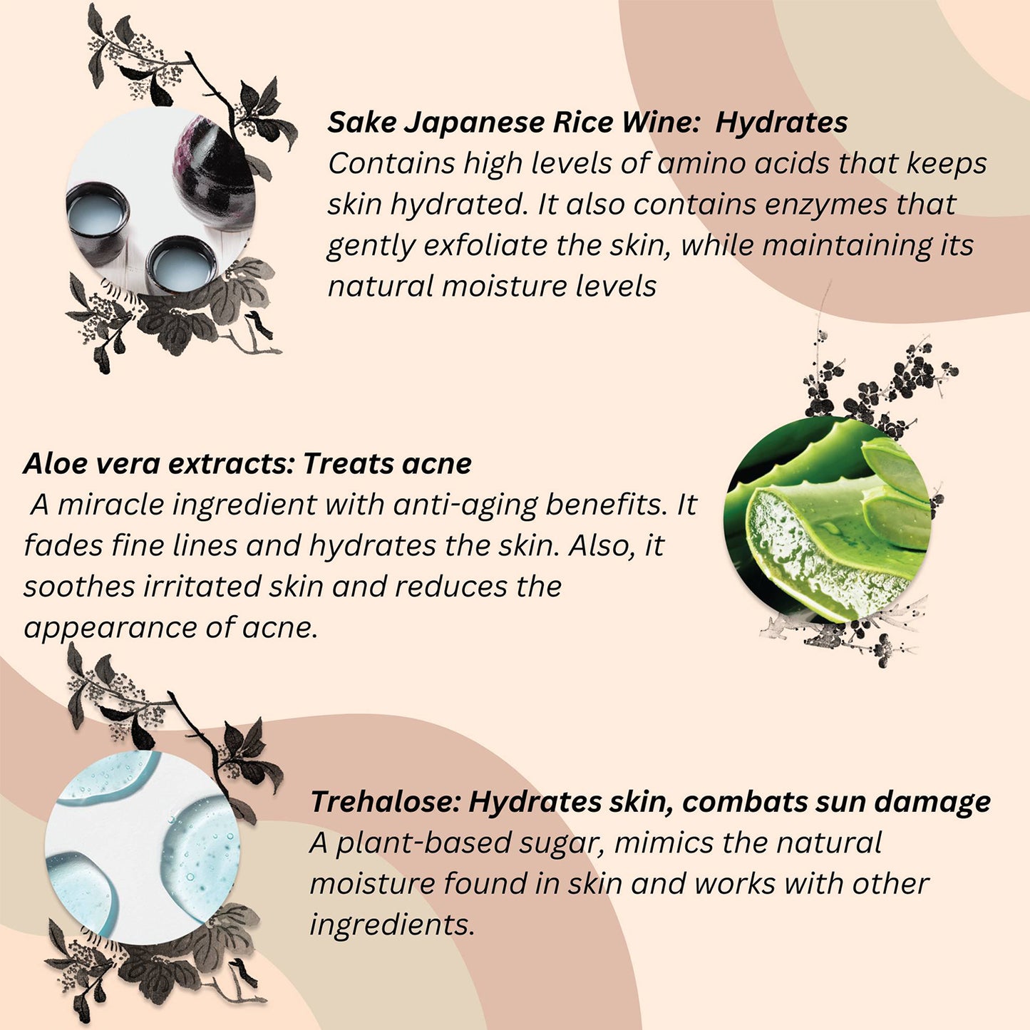 Rice & Sake Sleep Mask with Hyaluronic acid,Vitamin C and Trehalose