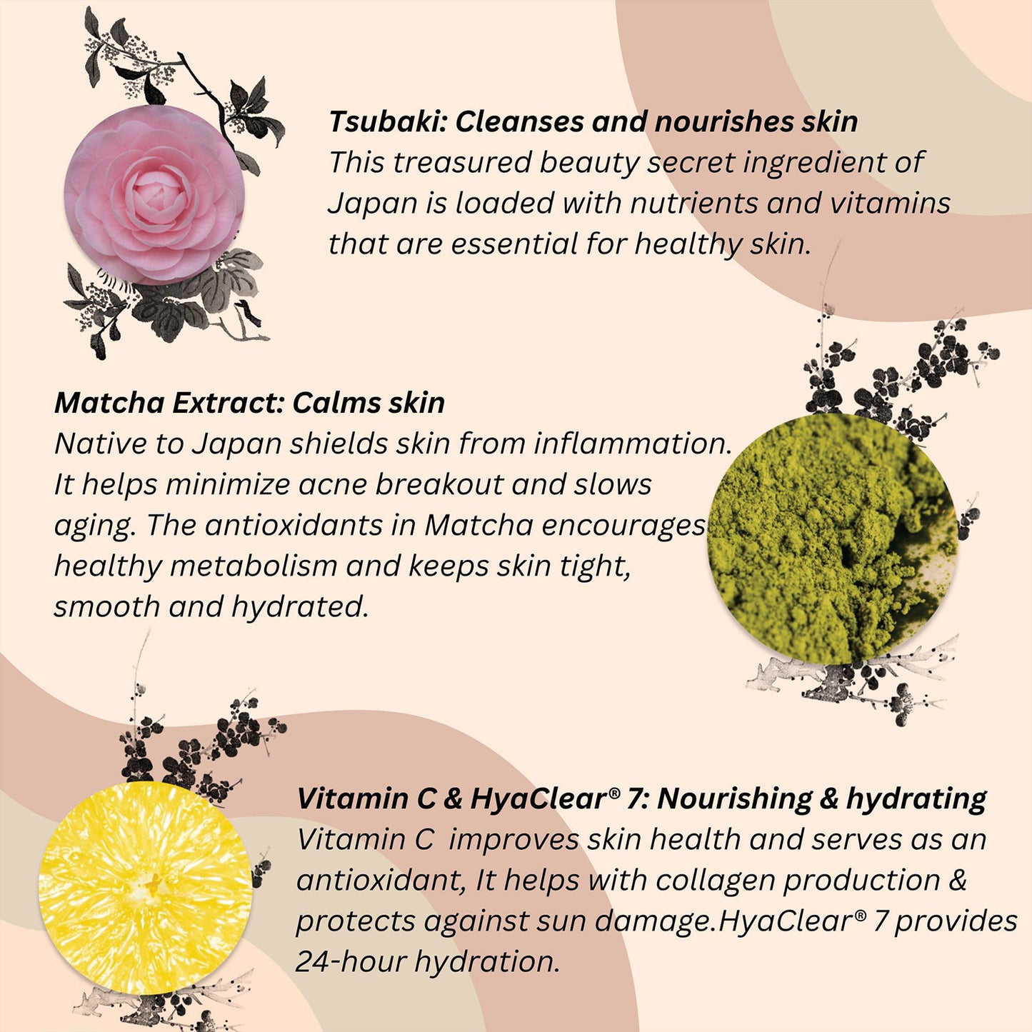 Tsubaki + Matcha Moisturiser with Vitamin C (dry skin)