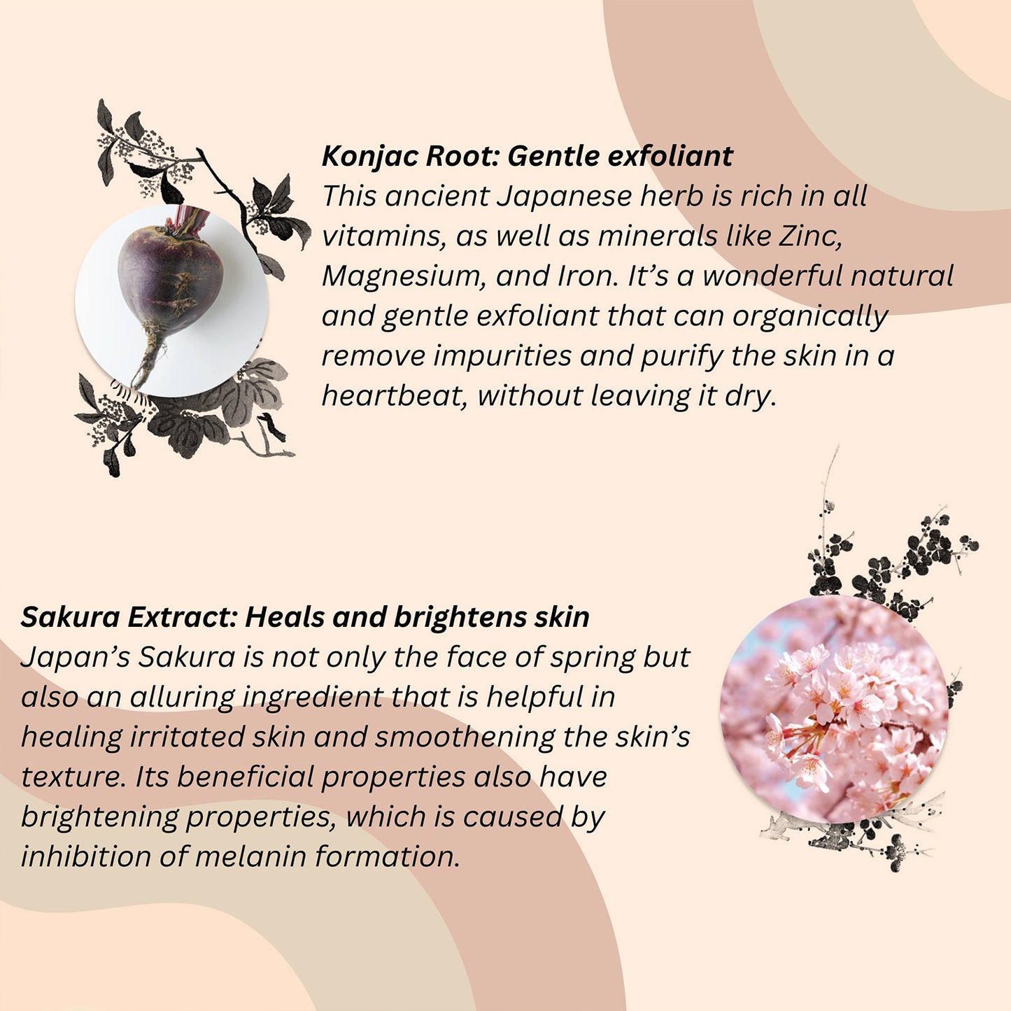 Exfoliating Sakura Konjac Sponge